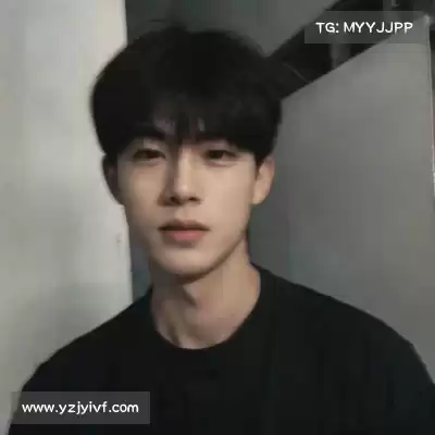 明锦柳